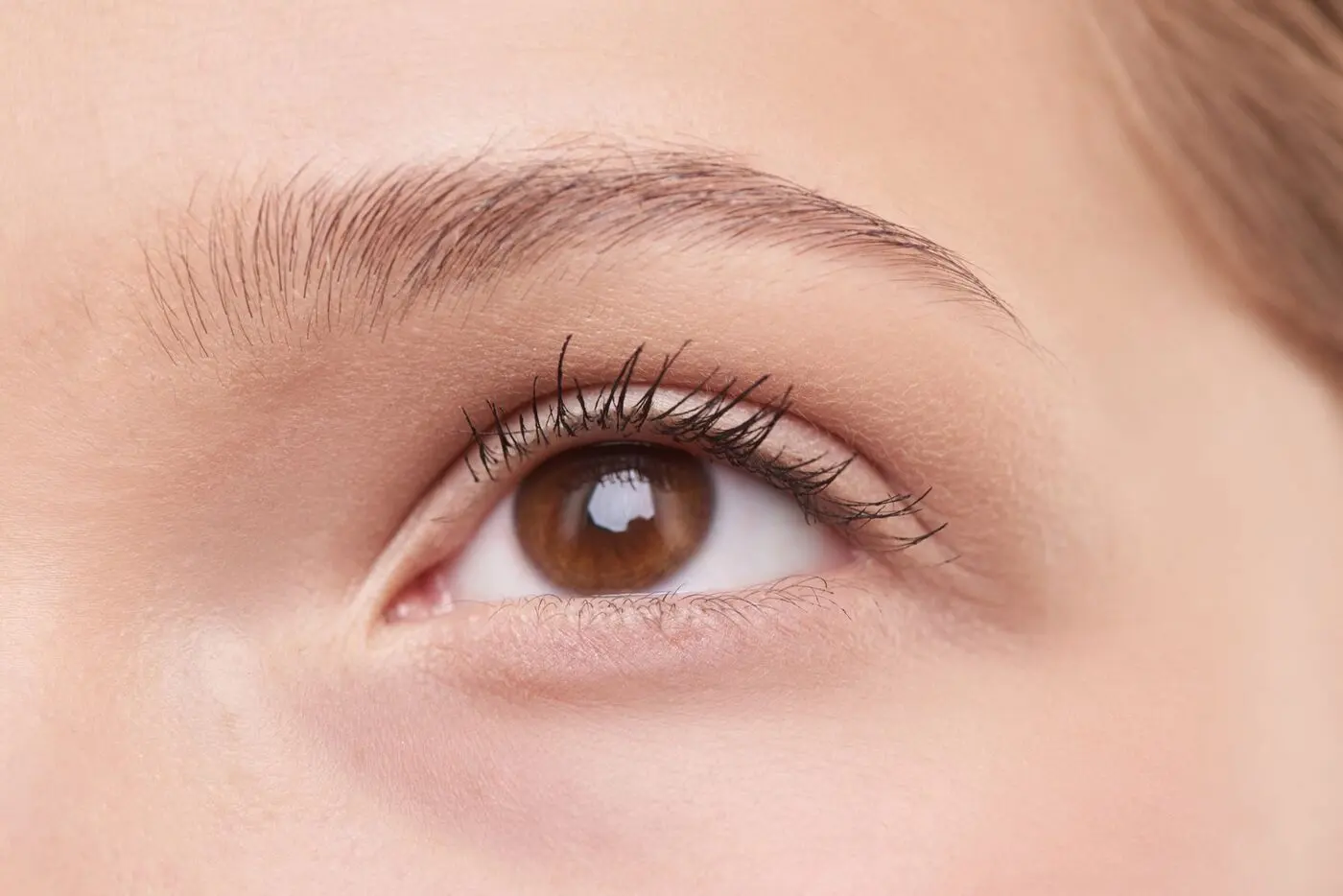 Close-up of a naturally full, precisely groomed eyebrow